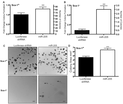 Fig 3.