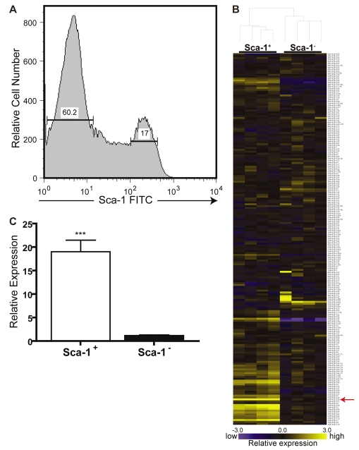 Fig 1.