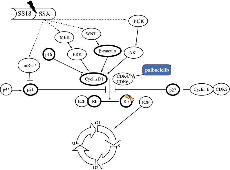 Fig. 4