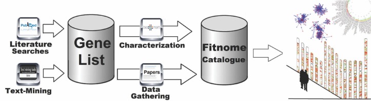 FIG. 1