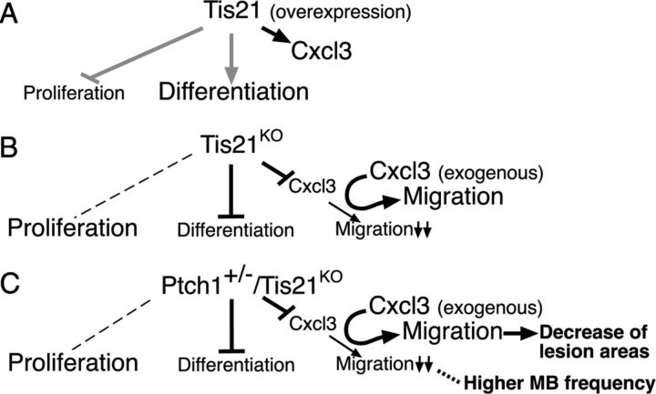 Figure 11.