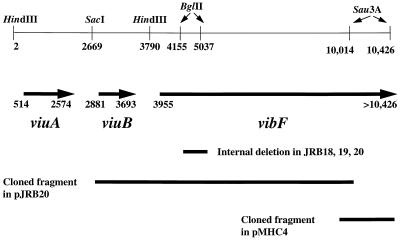 FIG. 1