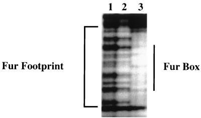 FIG. 5