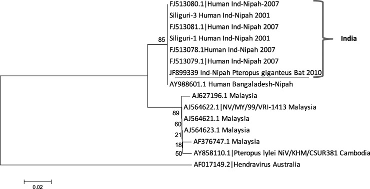 Figure 1.