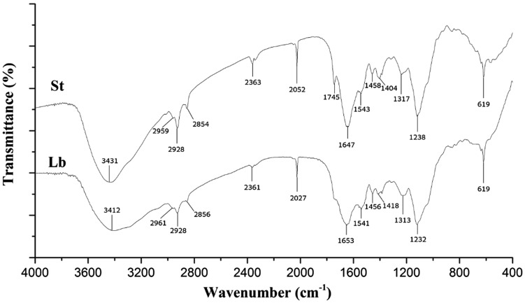 Fig. 6