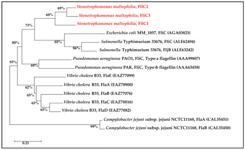 Figure 5