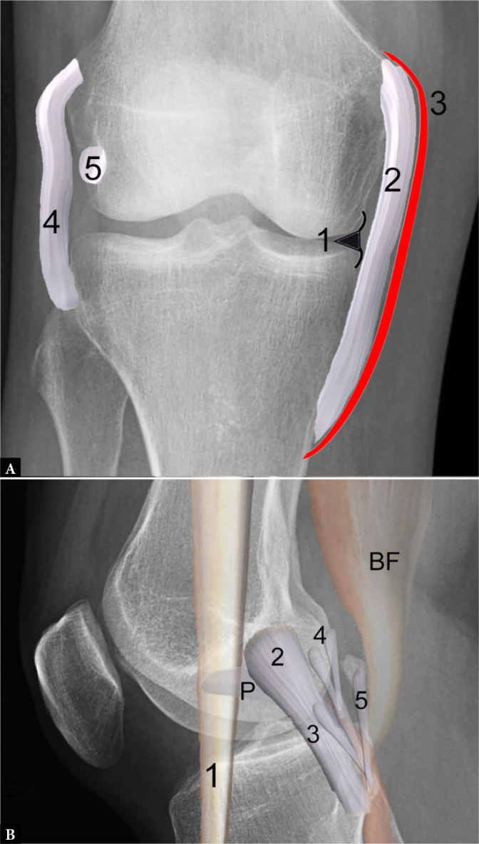 Fig. 9.