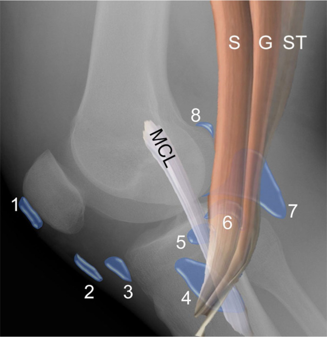 Fig. 18.