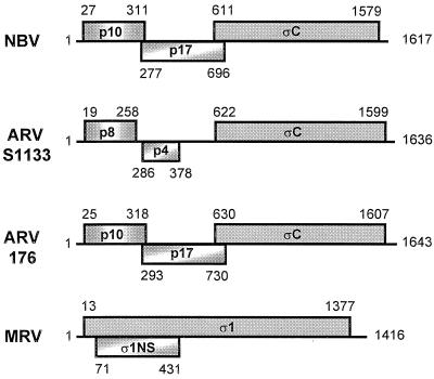 FIG. 1.