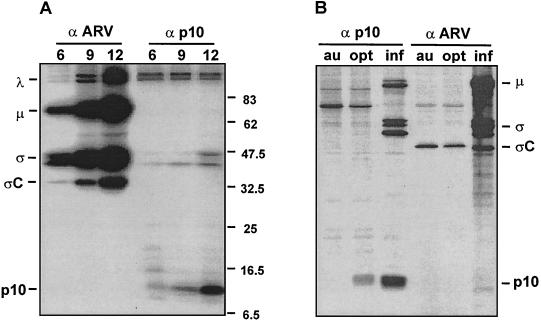 FIG. 6.