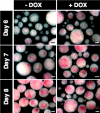 Figure 3.
