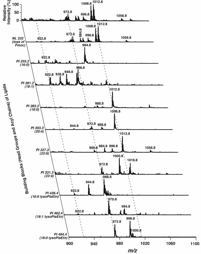 Fig. 6