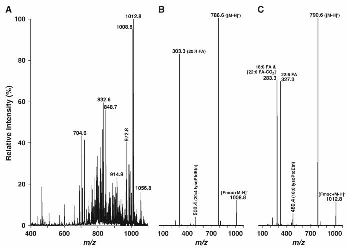 Fig. 3