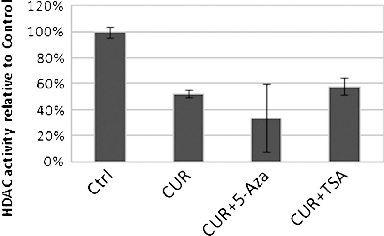 Fig. 6