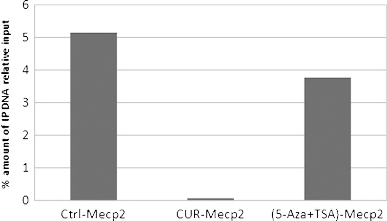 Fig. 7