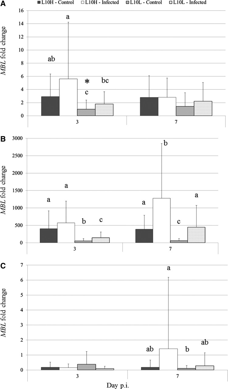 FIG. 3.