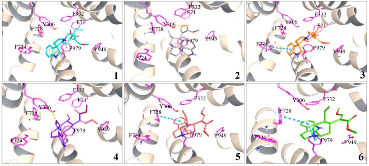 Figure 5