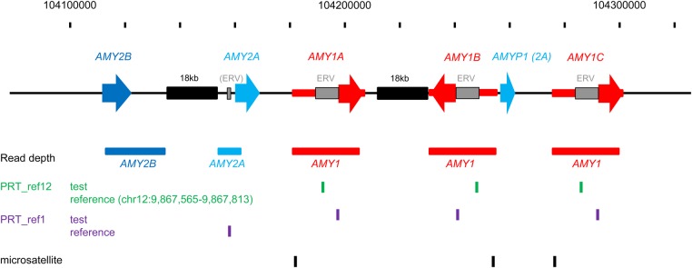 Figure 1.