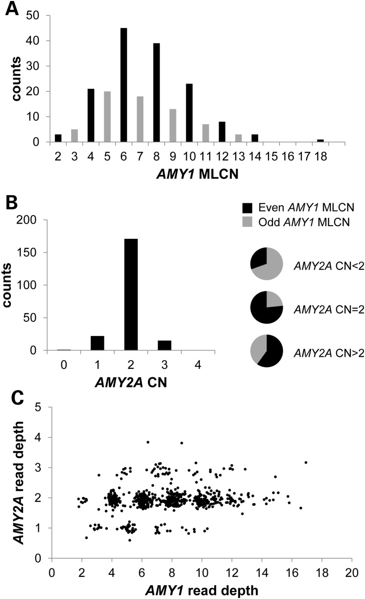 Figure 2.