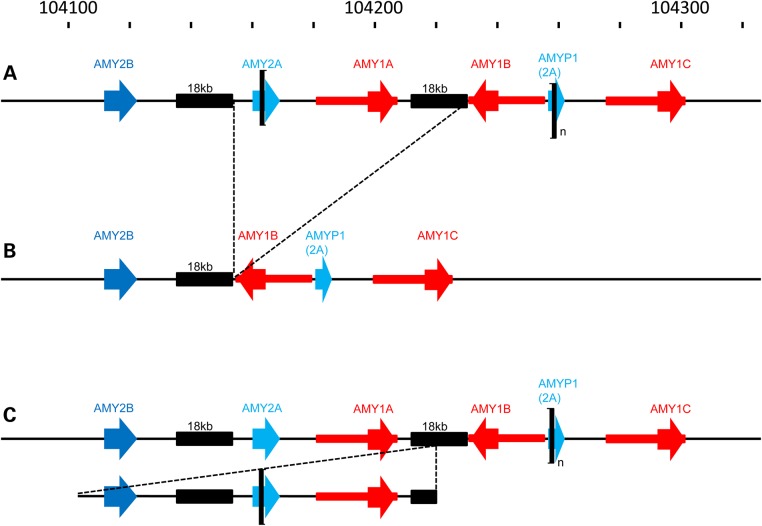 Figure 4.