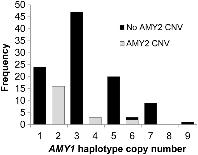 Figure 5.