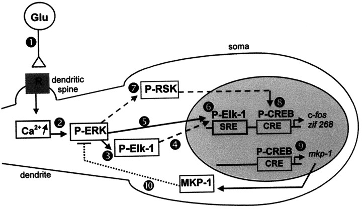 Fig. 9.