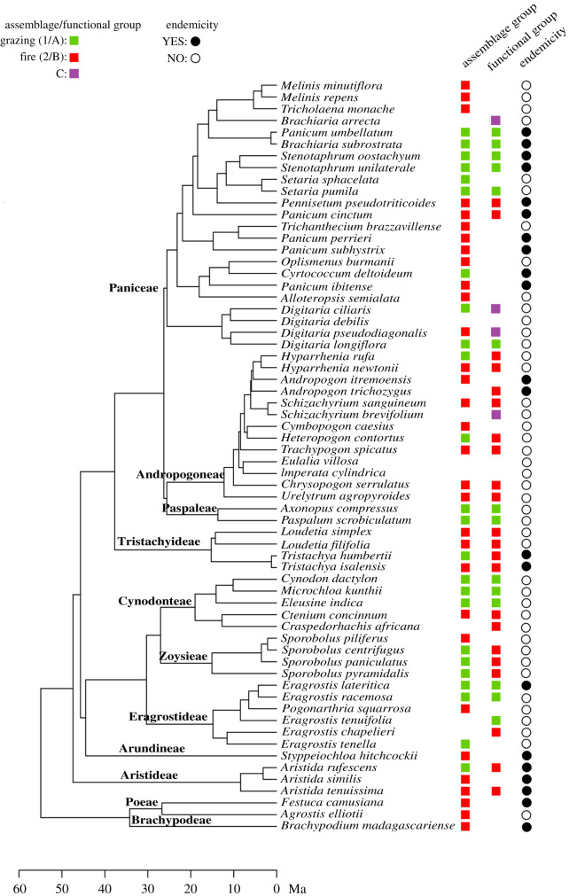 Figure 4.