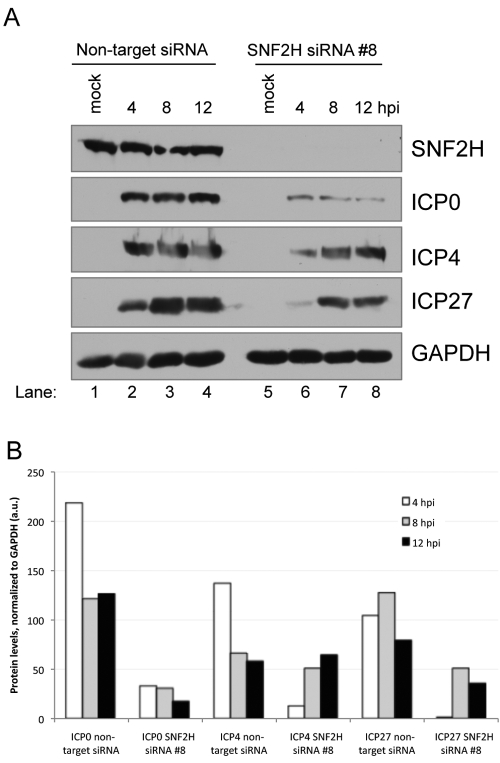 FIG 3 