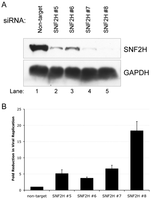 FIG 2 