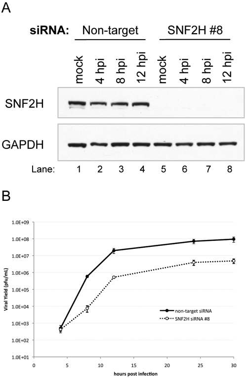 FIG 1 