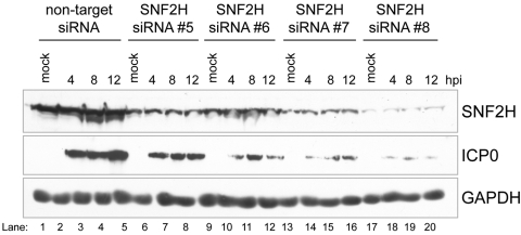 FIG 4 