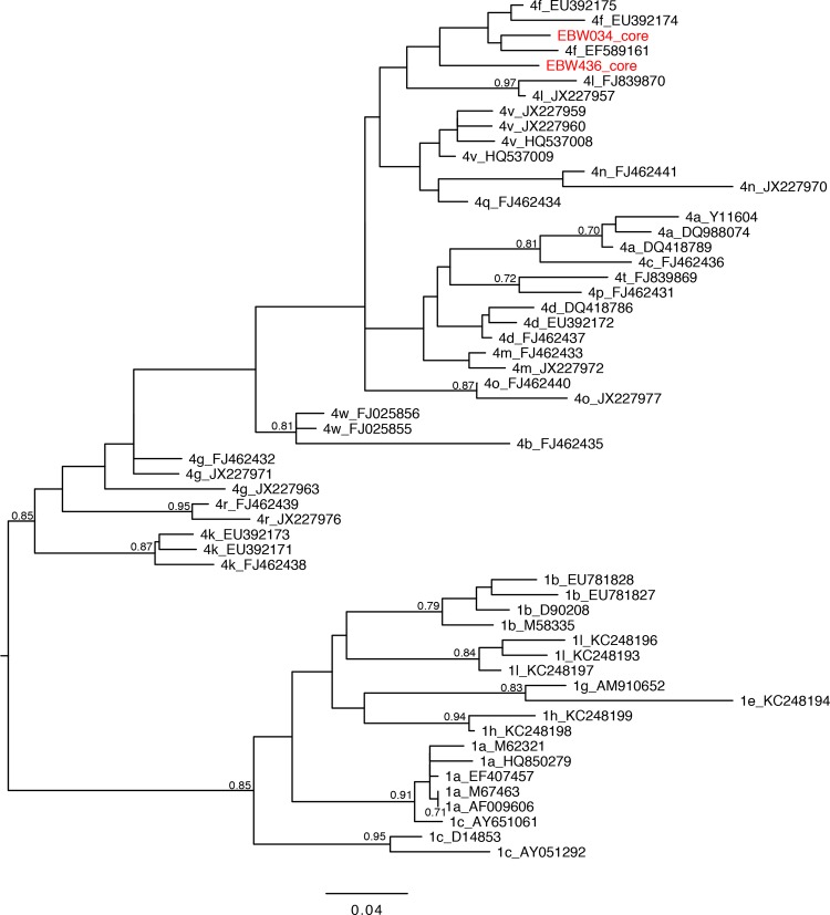 FIG 1