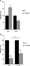 FIG 8