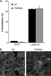 FIG 7