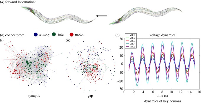 Figure 5.