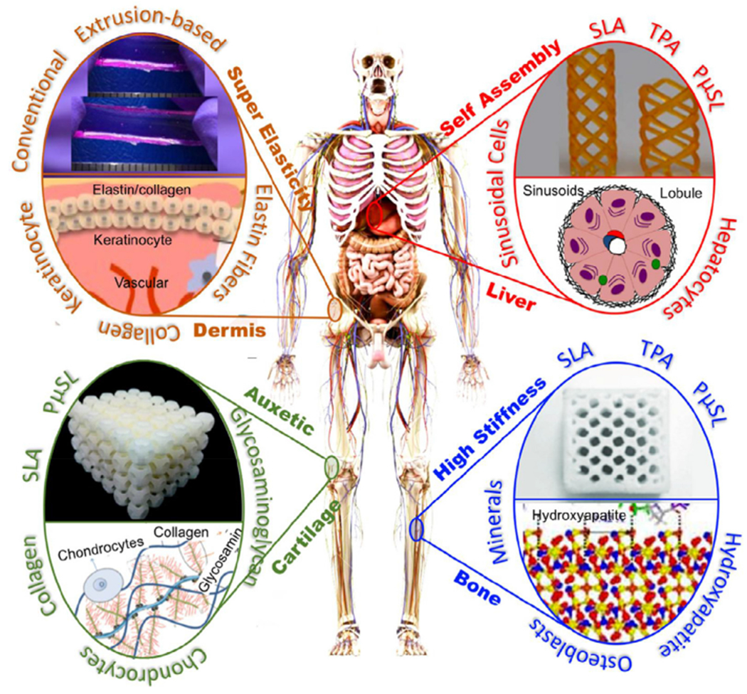 Fig. 4.