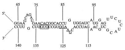 FIG. 6