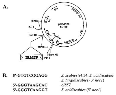 FIG. 5