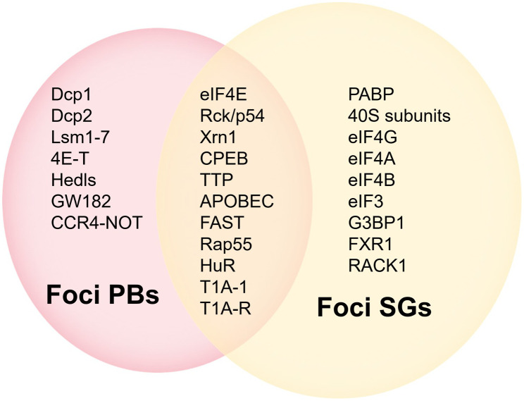 Figure 5