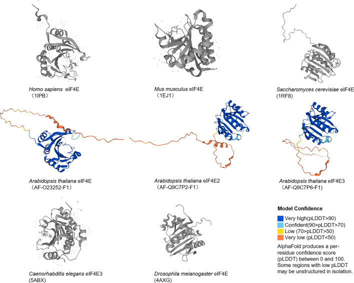 Figure 2