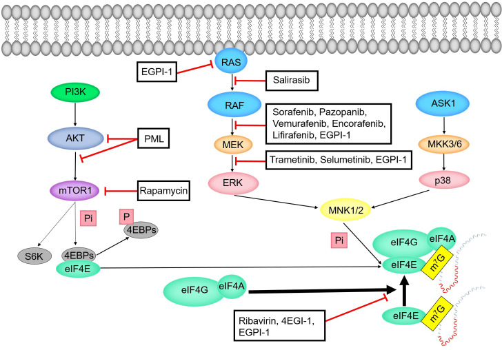 Figure 6