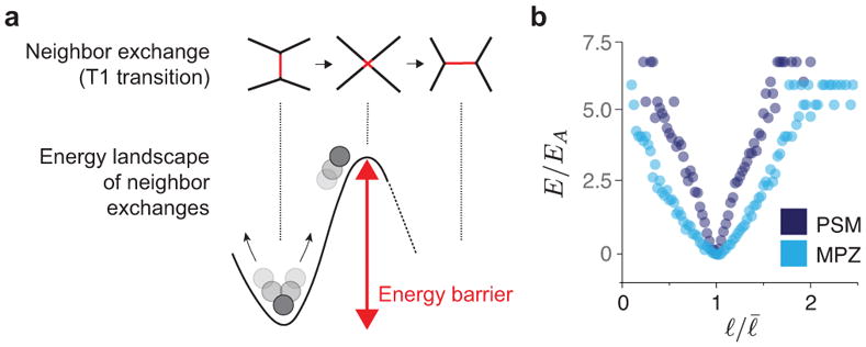 Extended Data Figure 7