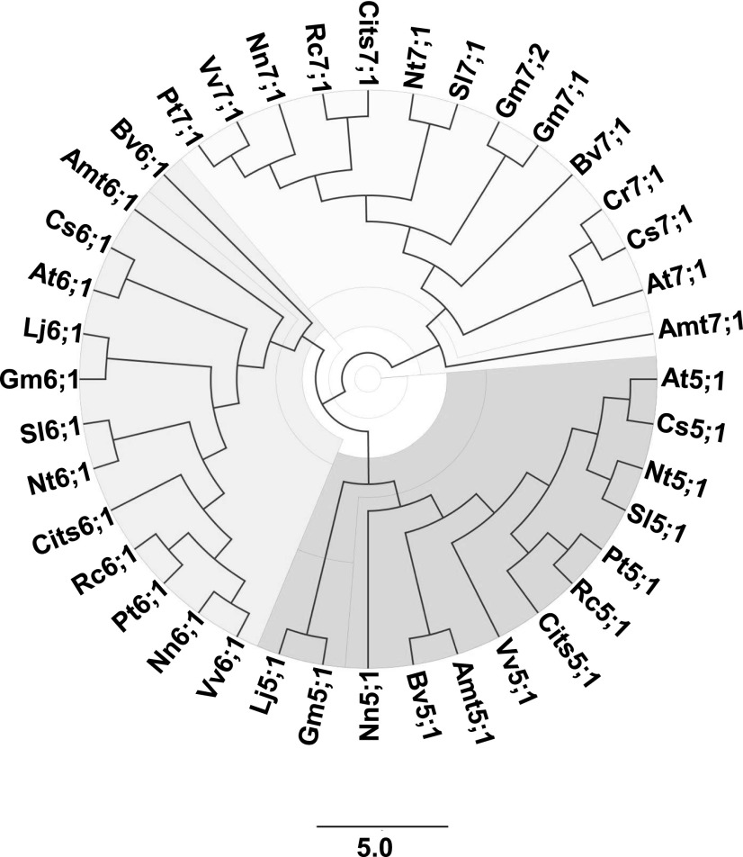 Figure 9.