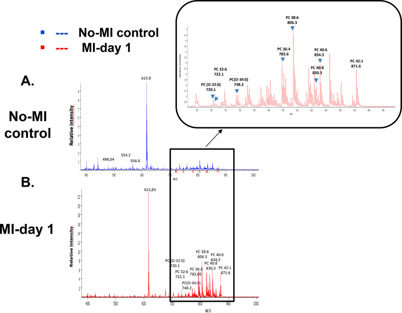 Figure 5: