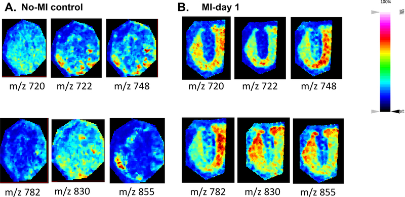 Figure 6: