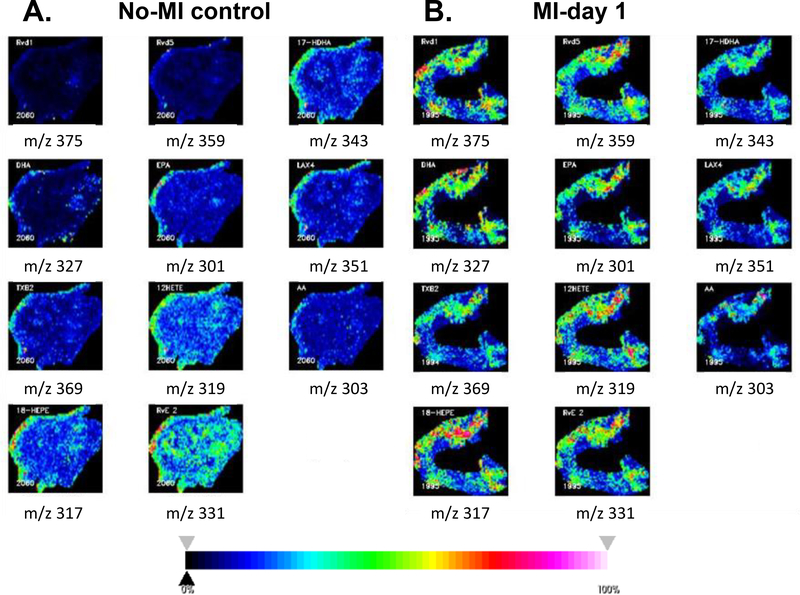 Figure 4: