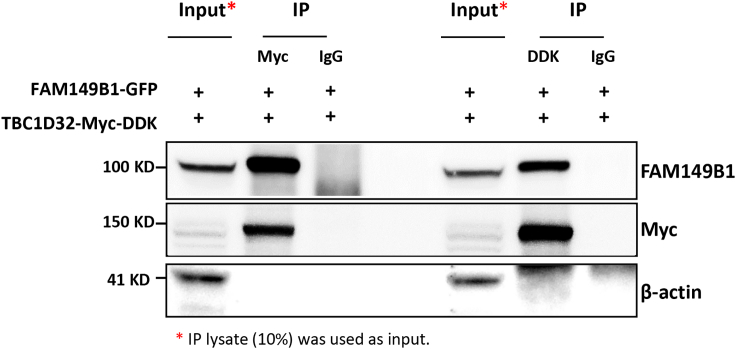 Figure 5