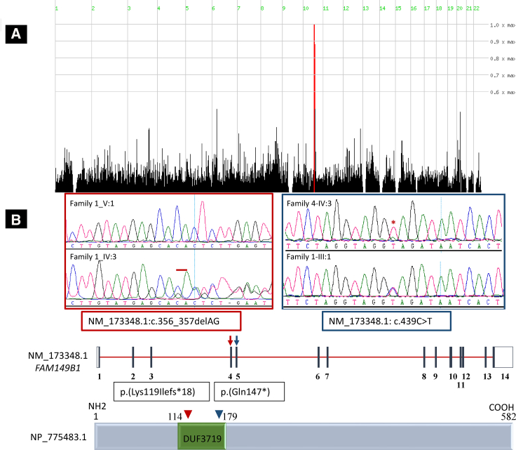 Figure 2