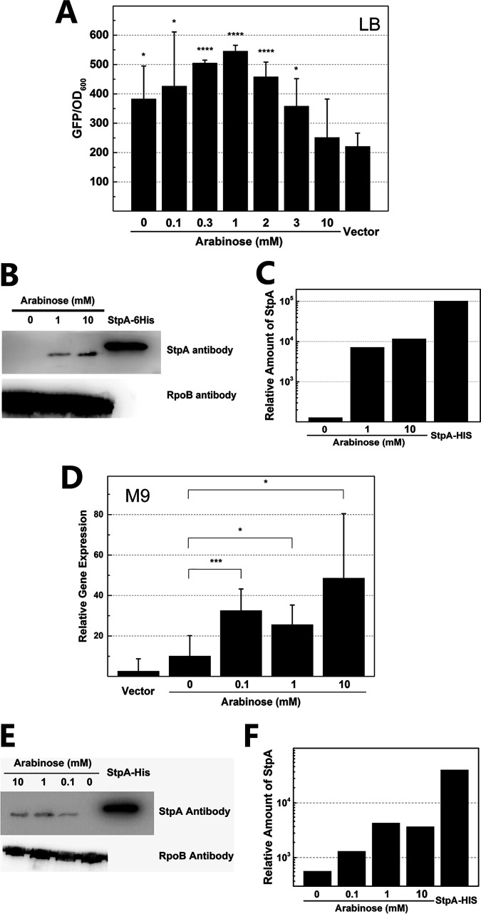 FIG 5