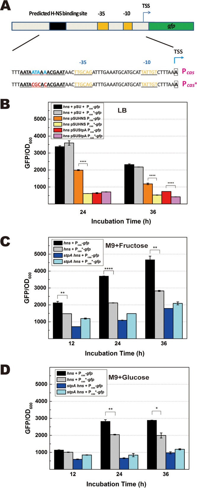 FIG 4